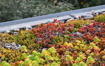 the cost of Llancloudy green roof installation