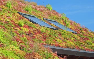 Llancloudy living roof systems